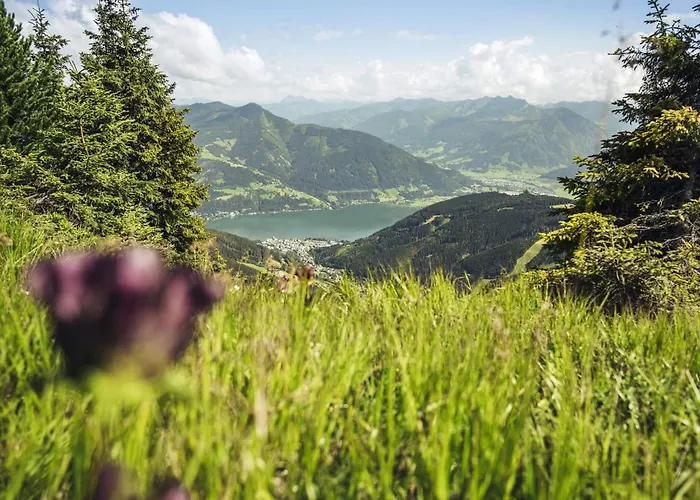 Bed and breakfast Gaestehaus Bleiweis-zehentner Zell am See